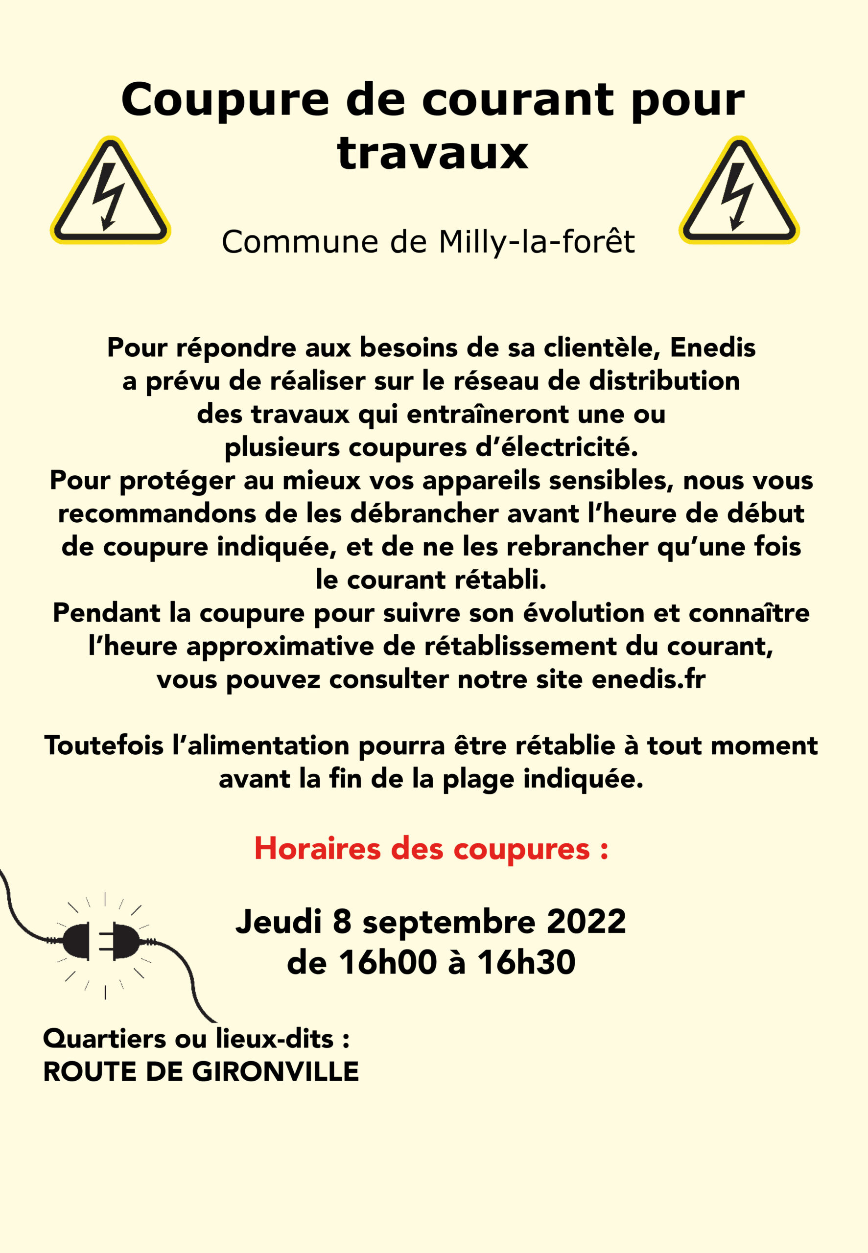 Coupure D'éléctricité - Milly-la-Forêt